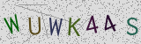 Défi visuel du captcha