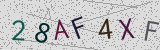 Défi visuel du captcha