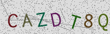 Défi visuel du captcha