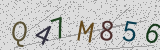Défi visuel du captcha
