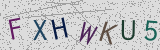 Défi visuel du captcha