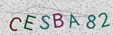 Défi visuel du captcha