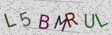 Défi visuel du captcha