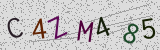 Défi visuel du captcha