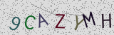 Défi visuel du captcha