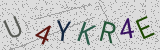 Défi visuel du captcha